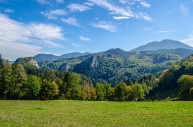Avusturalya 'da bir çayır manzarası tek başına uzanan ünlü semmering bahn yürüyüş pisti.