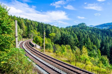 Avusturya 'daki sık bir ormandan geçen semmeringbahn demiryolu detayları