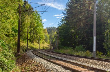Avusturya 'daki sık bir ormandan geçen semmeringbahn demiryolu detayları