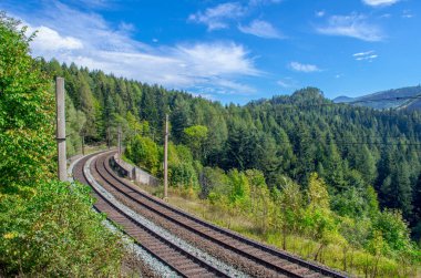 Avusturya 'daki sık bir ormandan geçen semmeringbahn demiryolu detayları
