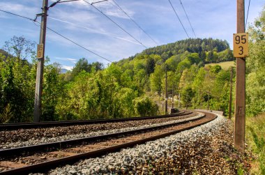 Avusturya 'daki sık bir ormandan geçen semmeringbahn demiryolu detayları