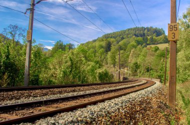 Avusturya 'daki sık bir ormandan geçen semmeringbahn demiryolu detayları