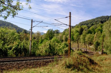 Avusturya 'daki sık bir ormandan geçen semmeringbahn demiryolu detayları