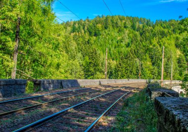 Avusturya 'daki sık bir ormandan geçen semmeringbahn demiryolu detayları