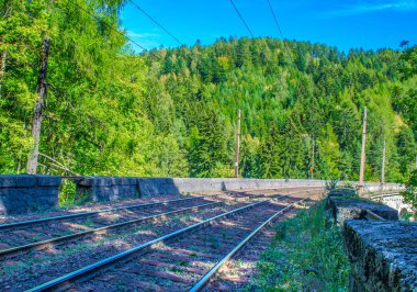 Avusturya 'daki sık bir ormandan geçen semmeringbahn demiryolu detayları