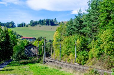 detail of semmeringbahn railroad leading through a dense forest in austria