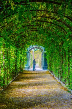 flower tunnel situated on grounds of schonbrunn castle in vienna, austria