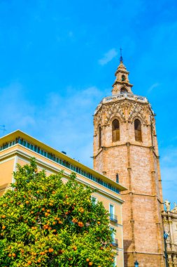 Part of the Metropolitan Cathedral-Basilica of the Assumption of Our Lady of Valencia