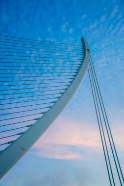 Valencia, İspanya Bridge'de kablo detayını kaldı