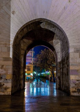 Geceleri Serrano Kulelerine (Torres de Serranos) bakın. Valencia, İspanya 'da bulunan Fueros Meydanı' nda kuleler bulunmaktadır.