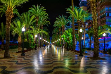 Night view of illuminated promenade in spanish city Alicante, which is streteched alongside the mediterranean sea.
