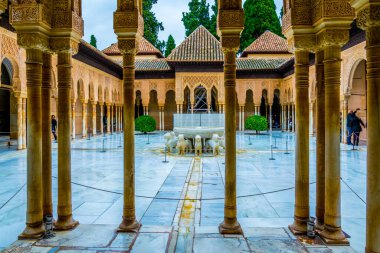 Granada, İspanya 'daki Alhambra Sarayı' ndaki aslanlar.