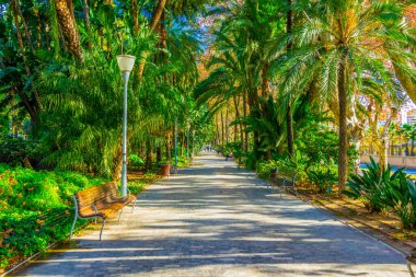 Paseo del Parque, Malaga, İspanya.