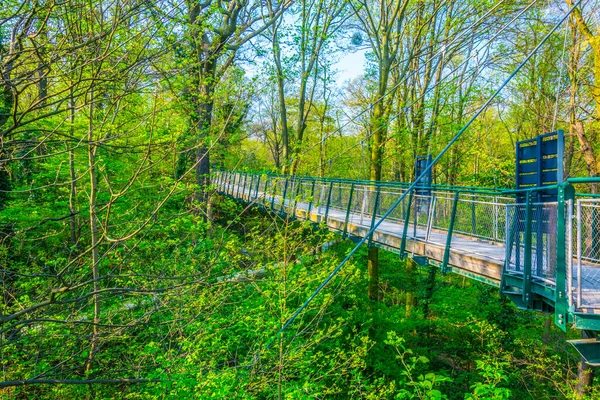 Schonbrunn Tierpark, Viyana, Avusturya 'da tepe örtüsü yürüyüşü