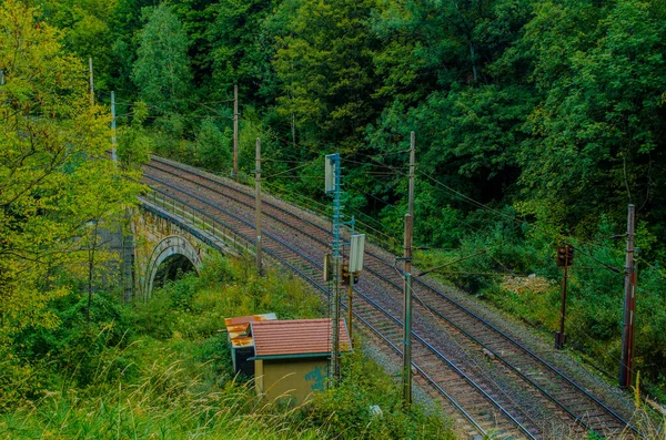 Detail Semmeringbahn Railroad Leading Dense Forest Austria — Stockfoto
