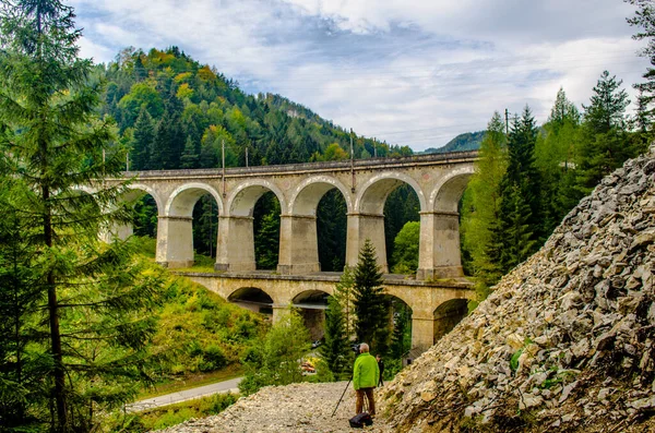 Avusturya 'daki semmering bahn unesco dünya mirası demiryolunun bir viyadük detayı