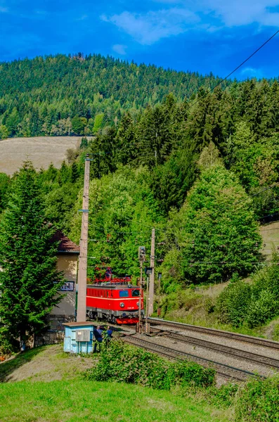 Breitenstein 'a bir tren geliyor. Austria' daki ünlü semmeringbahn tren istasyonunun bir parçası olan Unesco Dünya Mirası 'nın bir parçası.