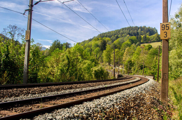 detail of semmeringbahn railroad leading through a dense forest in austria