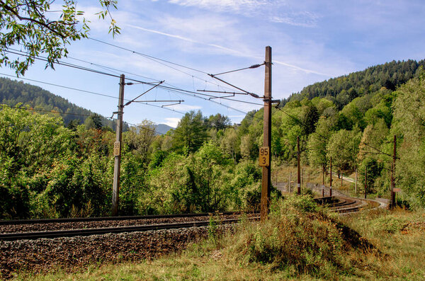 detail of semmeringbahn railroad leading through a dense forest in austria