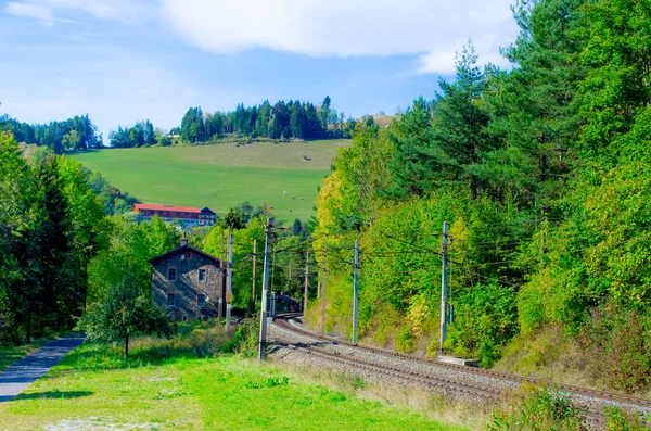Avusturya 'daki sık bir ormandan geçen semmeringbahn demiryolu detayları