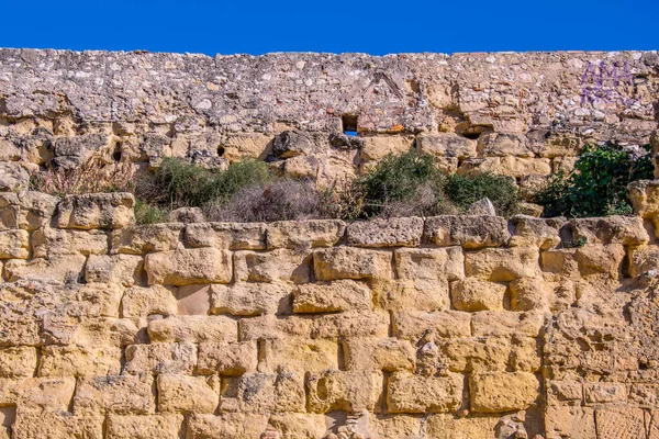 İspanyol şehri tarragona 'daki eski bir tuğla duvarın detayları. Eskiden şehrin tahkimatını sağlıyordu.