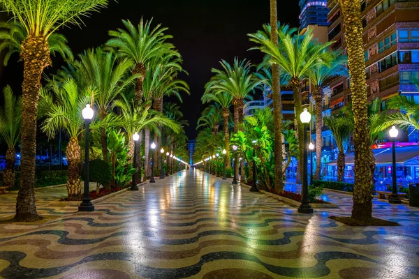 İspanya 'nın Alicante kentindeki aydınlık gezinti güvertesinin gece görüşü, Akdeniz kıyısına yayılmış durumda..