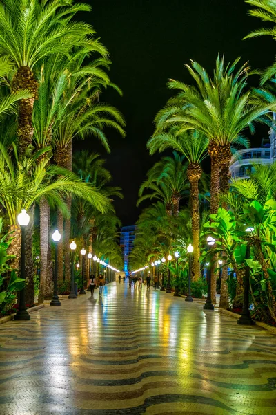 İspanya 'nın Alicante kentindeki aydınlık gezinti güvertesinin gece görüşü, Akdeniz kıyısına yayılmış durumda..