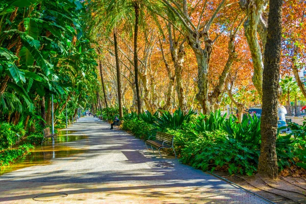 Paseo Del Parque Malaga Spanien — Stockfoto