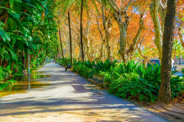 Paseo del Parque, Malaga, İspanya.
