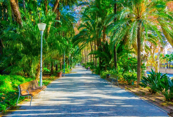 Paseo del Parque, Malaga, İspanya.