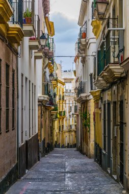 İspanyol Cadiz şehrinin tarihi merkezinde dar bir cadde