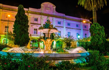 Tortuga ya da Kaplumbağa Çeşmesi 'nin gece manzarası Avenida Ramon de Carranza, Cadiz, İspanya