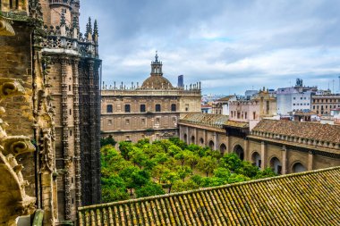 Sevilla katedralinin içindeki Naranjos terasının havadan görünüşü.