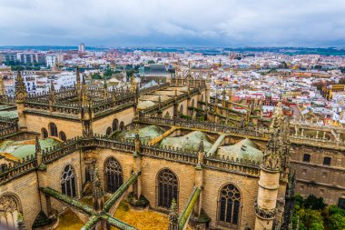 Sevilla 'daki katedralin havadan görünüşü