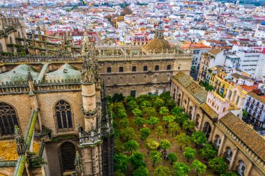 Sevilla katedralinin içindeki Naranjos terasının havadan görünüşü.