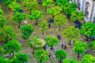 Sevilla katedralinin içindeki Naranjos terasının havadan görünüşü.