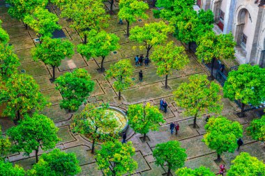 Sevilla katedralinin içindeki Naranjos terasının havadan görünüşü.
