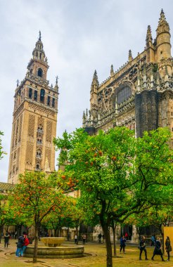 La giralda kulesi. Portakal ağaçları Sevilla katedralinin içindeki Naranjos terasından görünüyor.