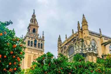 detail of la giralda tower in the spanish city sevilla