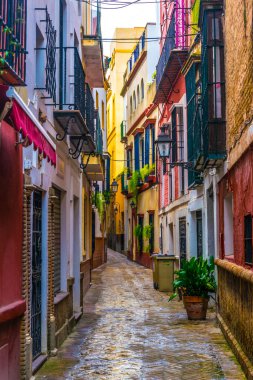 İspanyol şehri Sevilla 'nın merkezinde yer alan dar bir cadde.