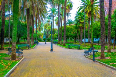view of a public park called jardines de la victoria in the spanish city cordoba