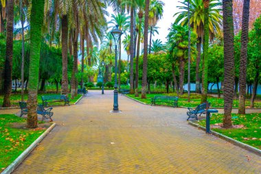 view of a public park called jardines de la victoria in the spanish city cordoba