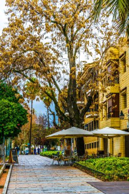 İspanya 'nın Cordoba şehrinde yeşil bir parkın yanındaki bir kafe manzarası