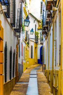 İspanyol şehri Cordoba 'nın Yahudi mahallesinin beyaz yıkanmış sokakları