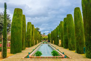 beautiful gardens of the alcazar de los reyes cristianos - royal palace of the cristian kings in the spanish city cordoba