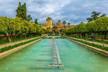 beautiful gardens of the alcazar de los reyes cristianos - royal palace of the cristian kings in the spanish city cordoba