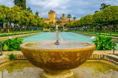 beautiful gardens of the alcazar de los reyes cristianos - royal palace of the cristian kings in the spanish city cordoba