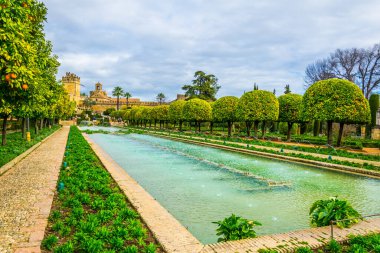 beautiful gardens of the alcazar de los reyes cristianos - royal palace of the cristian kings in the spanish city cordoba