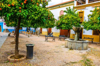 İspanyol şehri Sevilla 'da turuncu bahçeli bir avlunun ayrıntıları