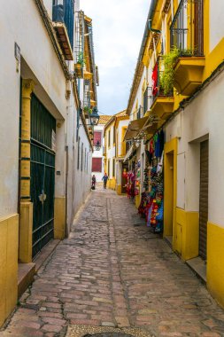 ages, almodovar, ancient, Endalusia, architecture, building, city, cordoba, defans, defans, kapı, muhafaza, europe, tahkireç taşı, ortaçağ, modern, anıt, moortaçağ, eski, açık alan, gölet, havuz, havuz